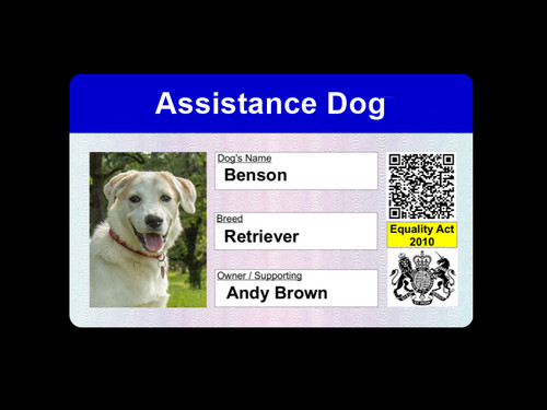 Assistance dog photo card - dog,