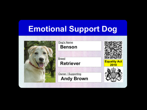 Emotional support assistance - emotional,