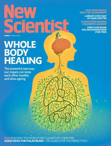 New scientist magazine - new,