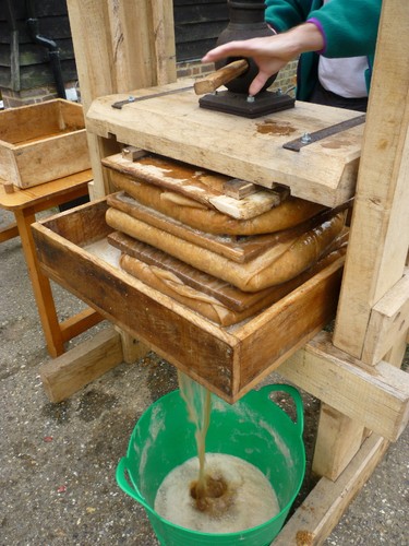 Genuine cornish scrumpy - genuine, cider